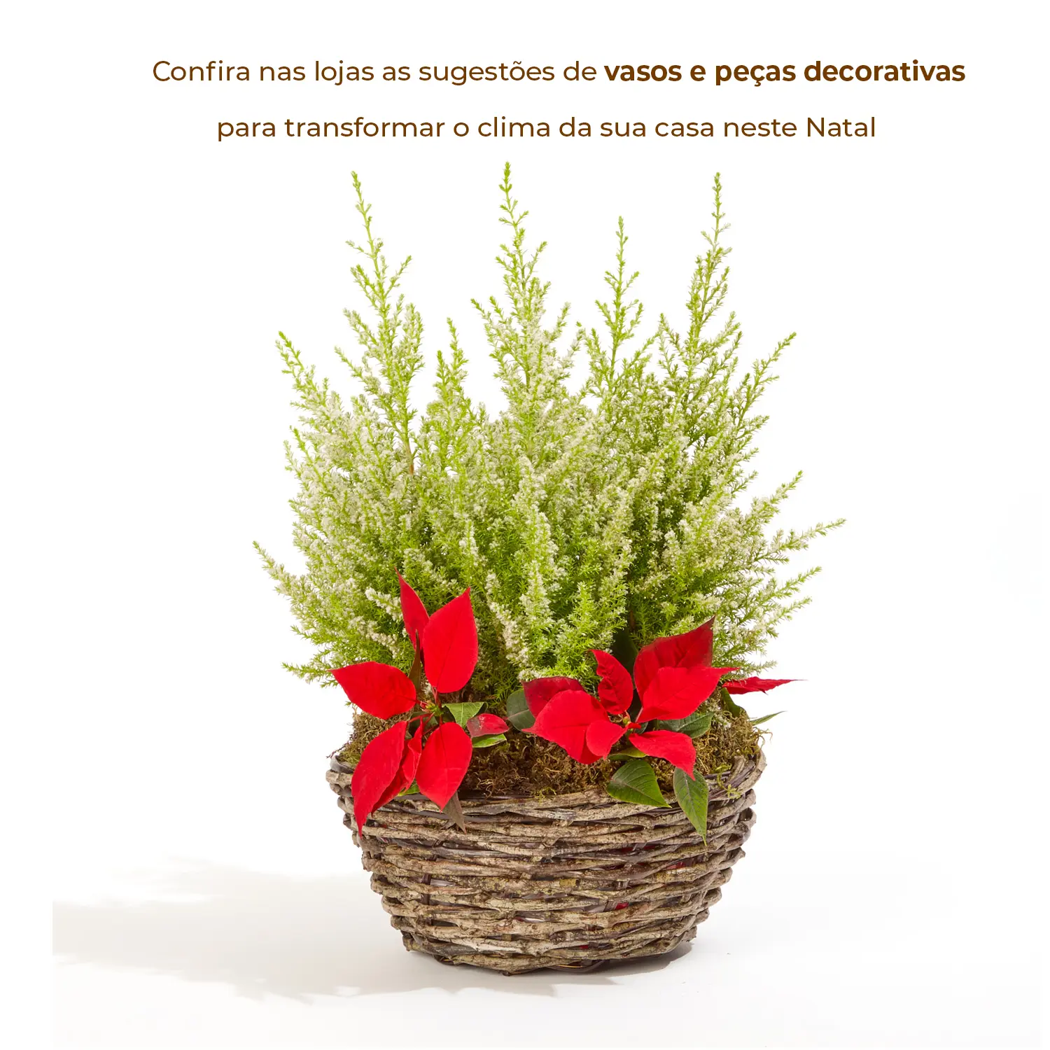 sugestoes de vasos e decoracao de natal